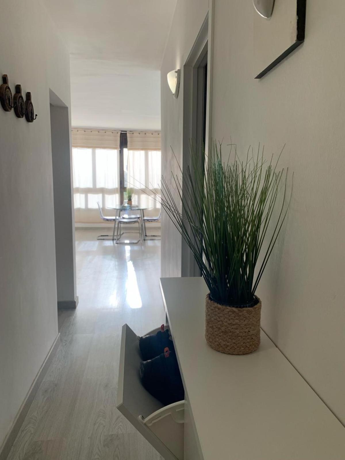 Casa Susanna Apartment 德尔锡伦西奥海岸 外观 照片